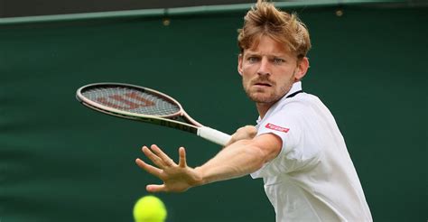 david goffin wimbledon 2023